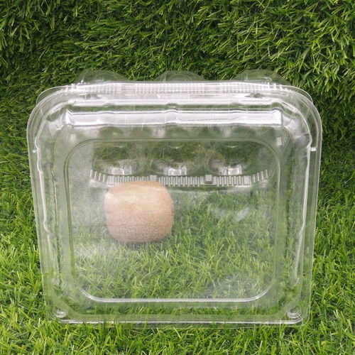 武漢吸塑包裝廠零售易供應專業(yè)定做優(yōu)質六個裝奇異果 獼猴桃 對折產品吸塑包裝盒子