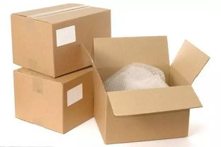 中班主題活動 紙的世界